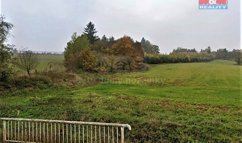 Prodej lesa 1 477 m², Tuchořice – náhled fotky 2