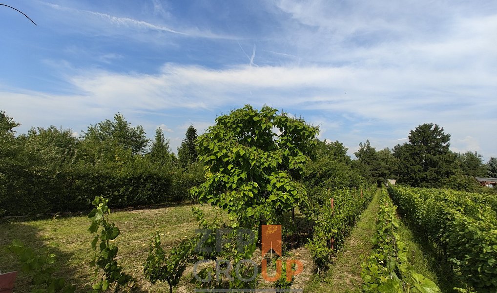 Prodej stavebního pozemku 464 m², Břeclav – náhled fotky 4