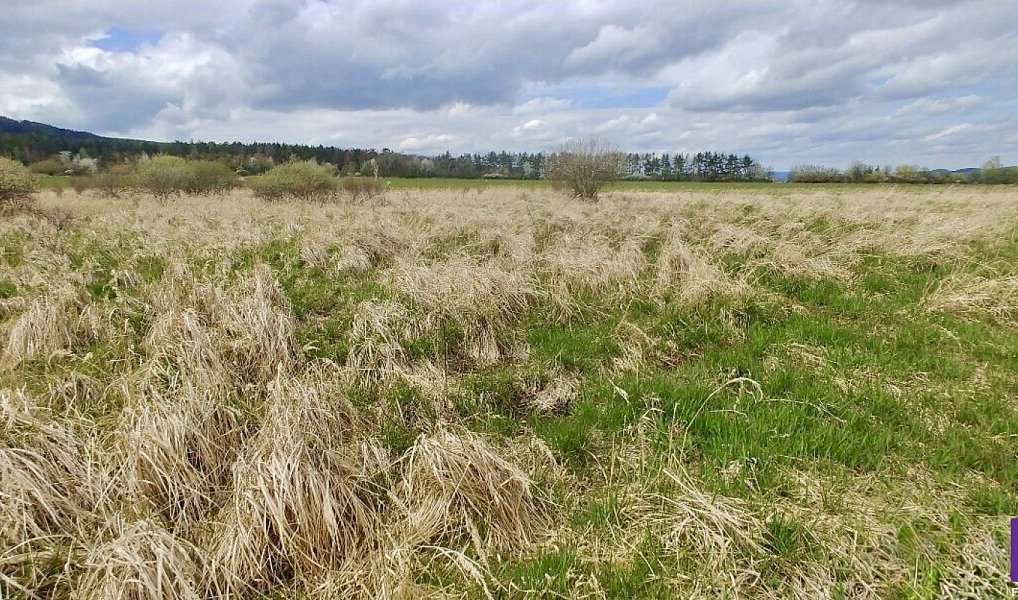 Prodej pole 6 487 m², Hostomice – náhled fotky 3