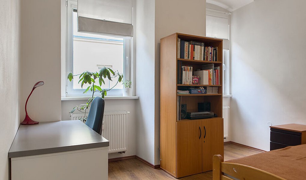 Pronájem bytu 1+1 29 m², Brno – náhled fotky 4