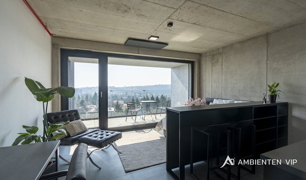 Pronájem bytu 1+kk 35 m², Brno – náhled fotky 6