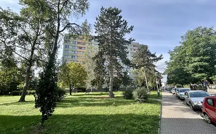 Prodej bytu 1+kk 35 m², Třebechovická, Hradec Králové - Slezské Předměstí