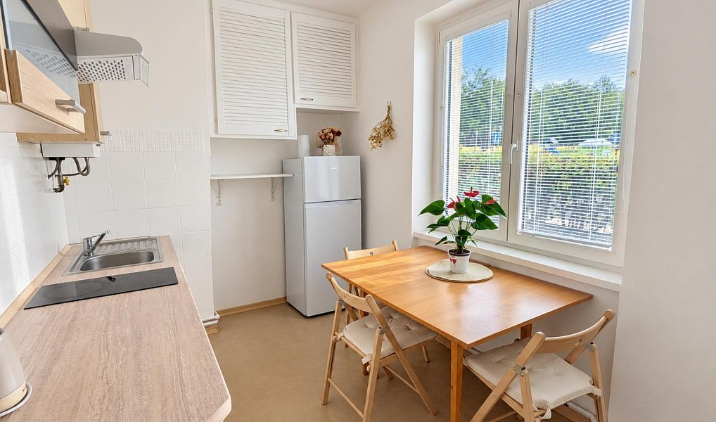Pronájem bytu 2+1 49 m², Teplice – náhled fotky 6