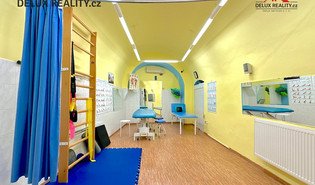 Prodej domu (jiného typu) 337 m² s pozemkem 129 m², Znojmo – náhled fotky 5
