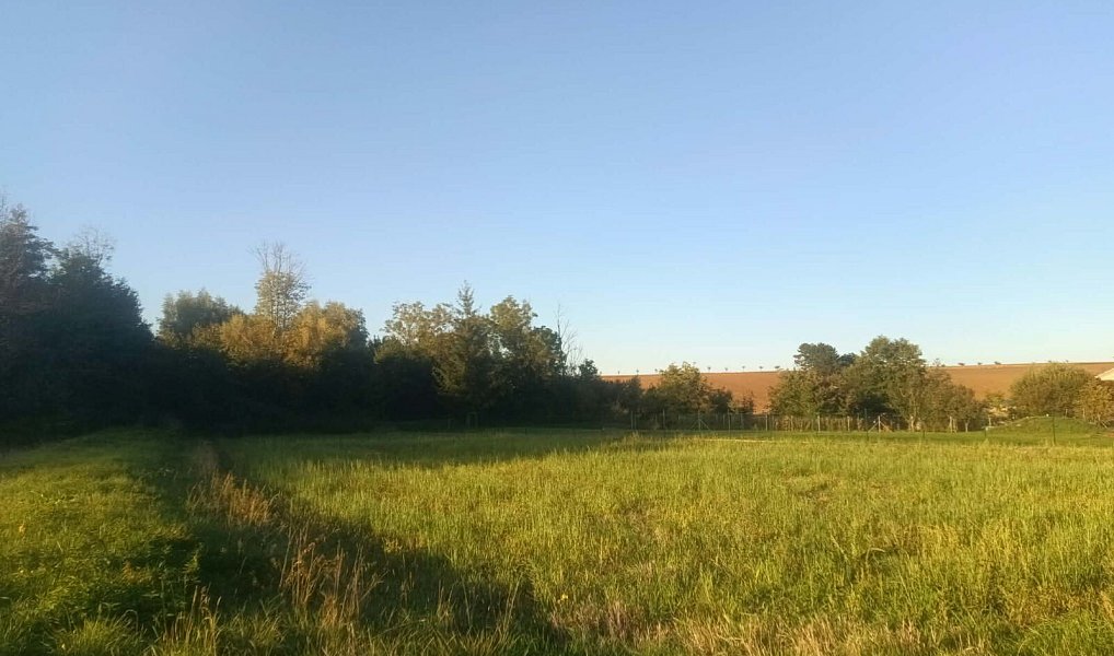 Prodej pozemku, 905 m², Kroměříž, Lutopecny