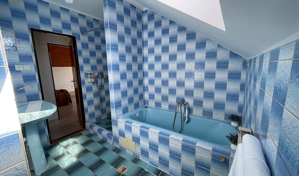 Pronájem domu 230 m² s pozemkem 601 m², Bříšťany – náhled fotky 22