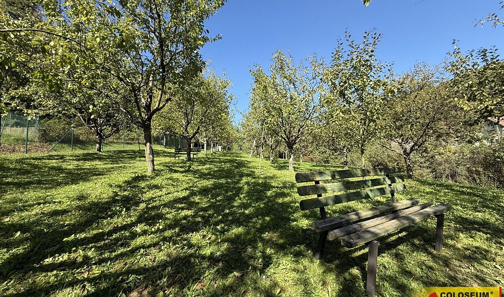 Prodej pole 1 758 m², Žarošice – náhled fotky 8