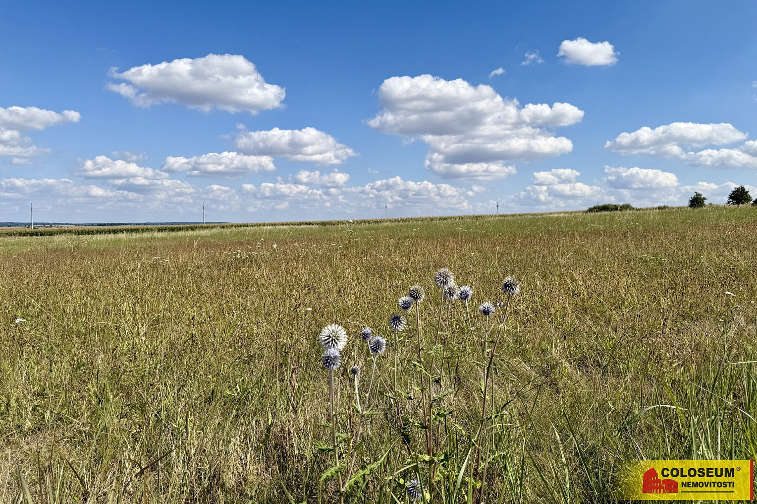 Prodej komerčního pozemku 8 168 m² – fotografie 4