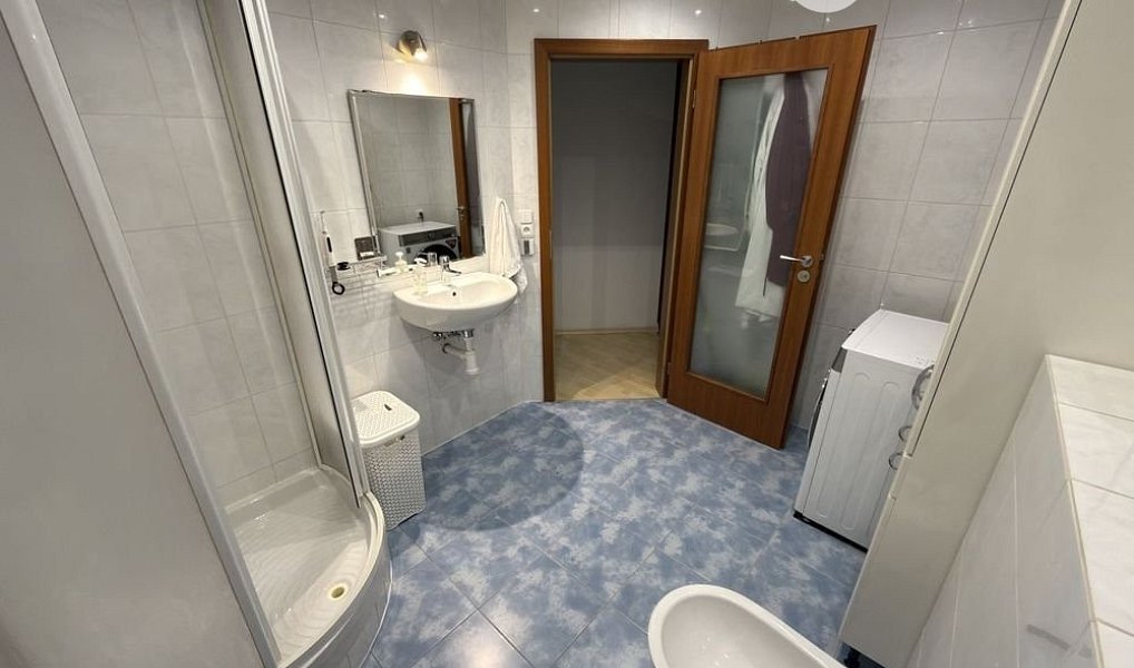 Prodej bytu 2+kk 57 m², Frýdek-Místek – náhled fotky 6
