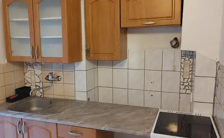 Pronájem bytu 1+1 30 m², Pechova, Brno - Židenice