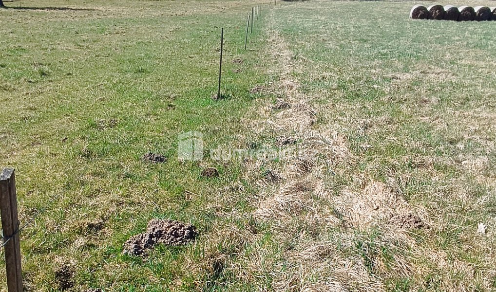 Prodej stavebního pozemku 1 246 m², Heřmanov – náhled fotky 6