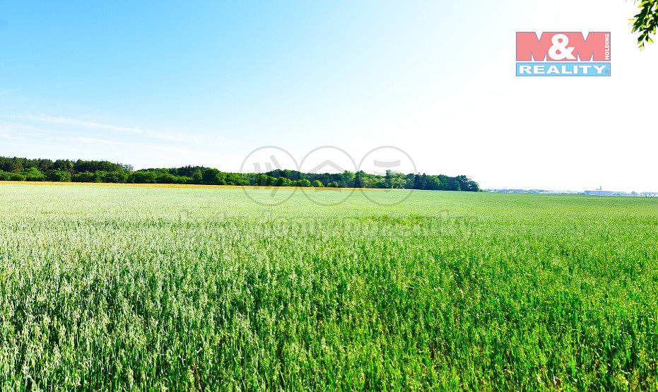 Prodej pole 73 368 m² – fotografie 4