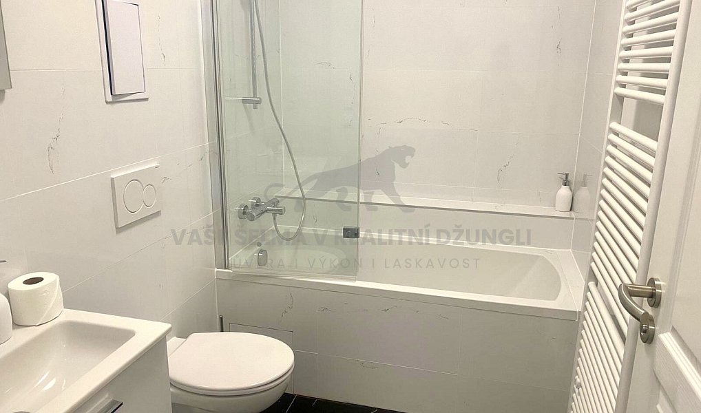 Pronájem bytu 1+kk 32 m², Jáchymov – náhled fotky 14