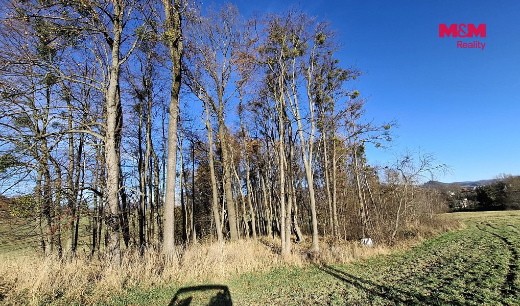 Prodej pole 6 589 m², Rožnov pod Radhoštěm – náhled fotky 5