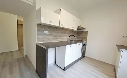 Prodej bytu 2+1 58 m²