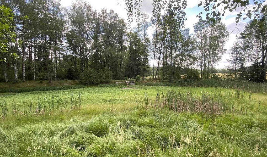 Prodej louky 10 951 m², Trhové Sviny – náhled fotky 6