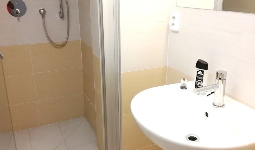 Pronájem bytu 2+1 88 m², Praha – náhled fotky 9