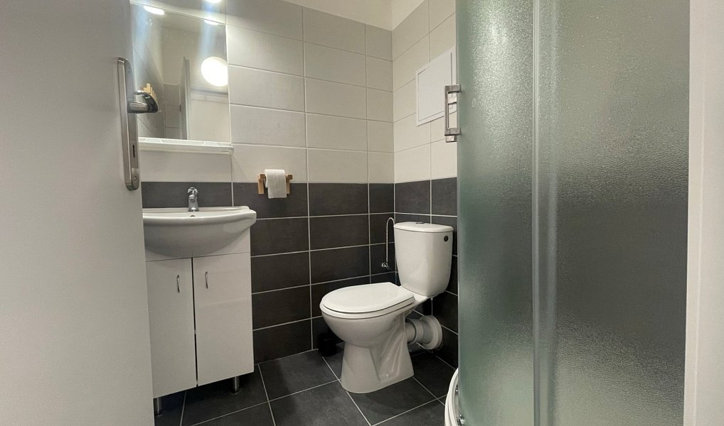 Pronájem bytu 2+kk 27 m², Staré Hradiště – náhled fotky 6