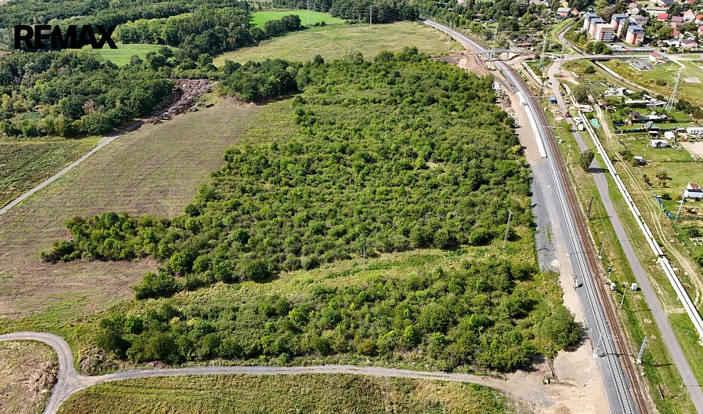 Prodej lesa 14 938 m², Málkov – náhled fotky 4