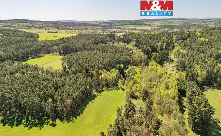 Prodej lesa 2 645 m², Losiná, okres Plzeň-město