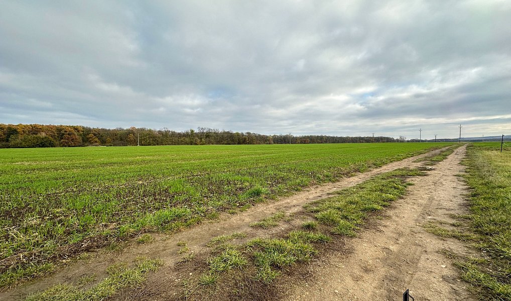 Prodej stavebního pozemku 3 803 m², Přísnotice – náhled fotky 7