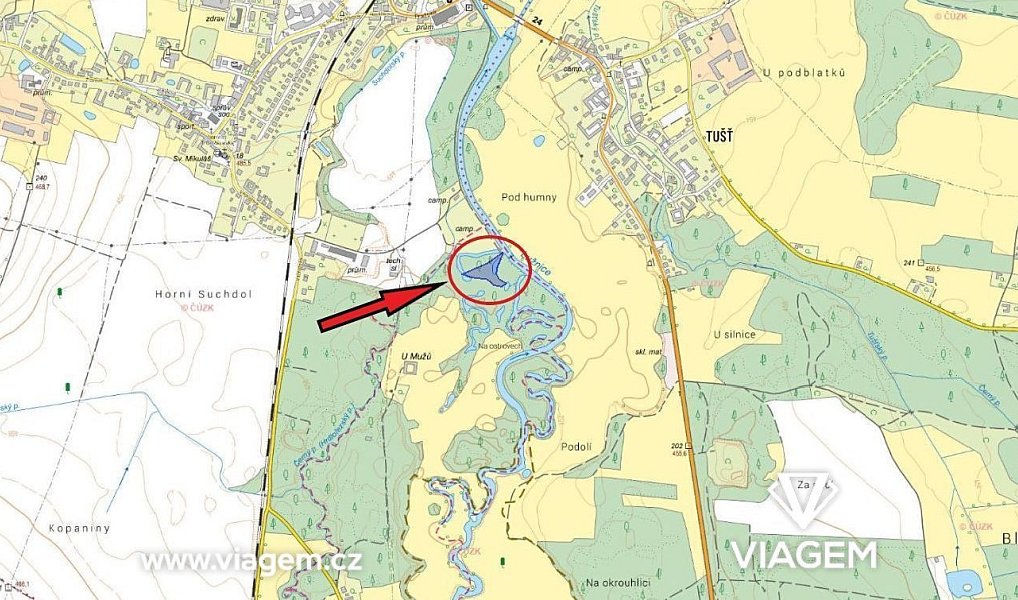 Prodej lesa 4 248 m², Dvory nad Lužnicí – náhled fotky 3