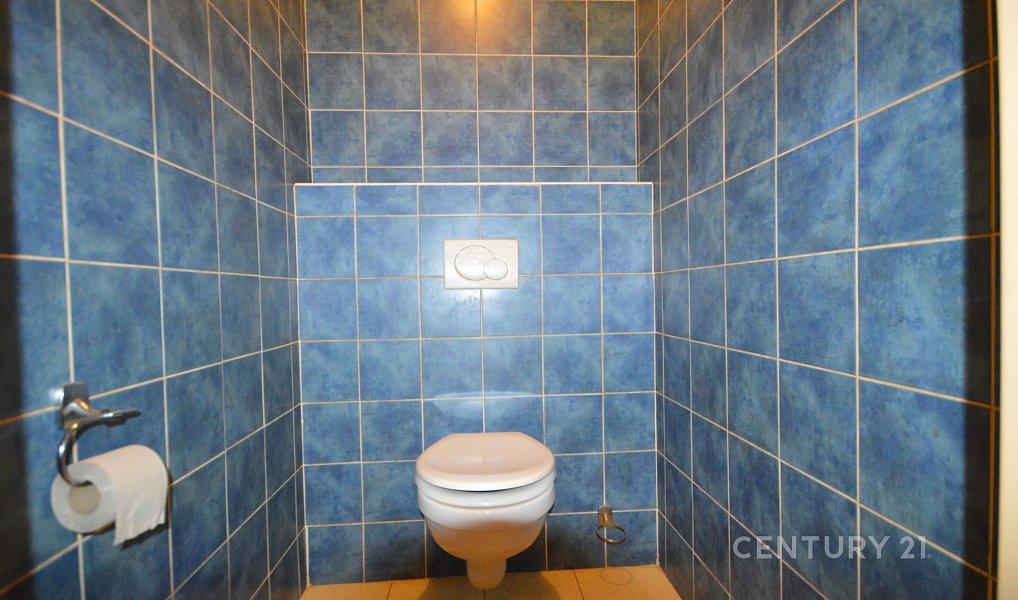 Prodej domu 1 500 m² s pozemkem 718 m², Rosice – náhled fotky 16