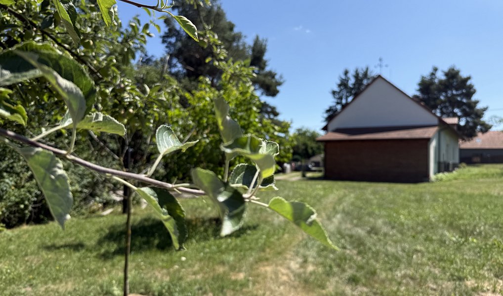 Prodej domu 550 m², Lety – náhled fotky 30