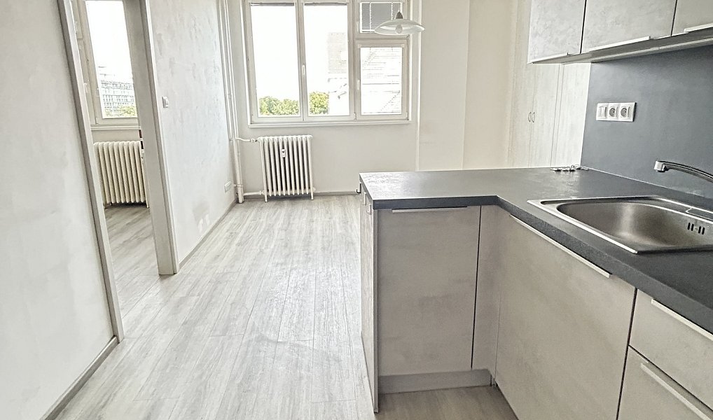 Pronájem bytu 2+kk 47 m², Praha – fotka 1 z 16