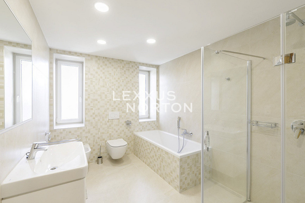 Pronájem domu 350 m² s pozemkem 534 m² – fotografie 4