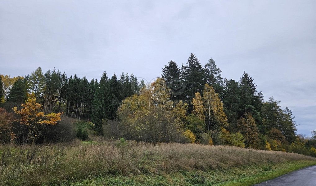 Prodej pole 1 278 m², Bělá u Jevíčka – náhled fotky 10