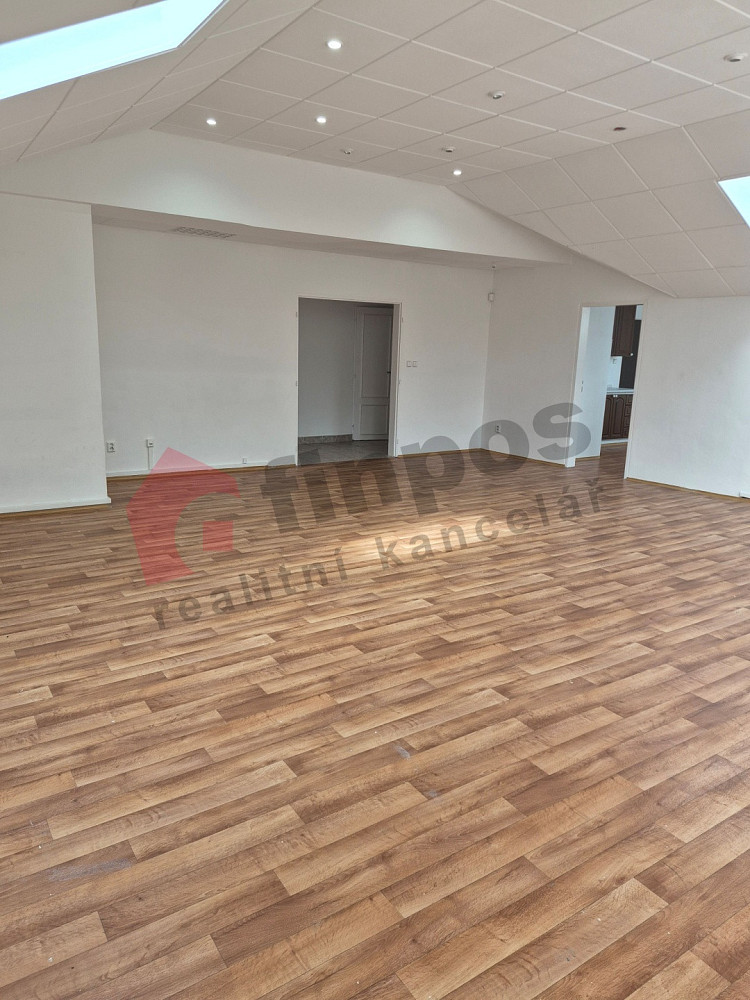 Pronájem obchodních prostor 100 m² – fotografie 3