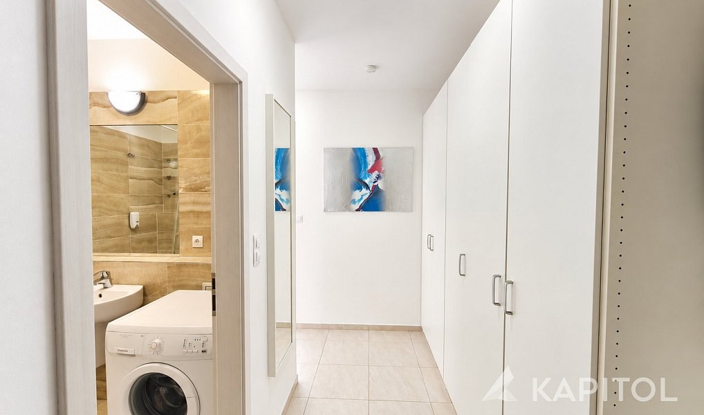 Pronájem bytu 2+kk 50 m², Praha – náhled fotky 5
