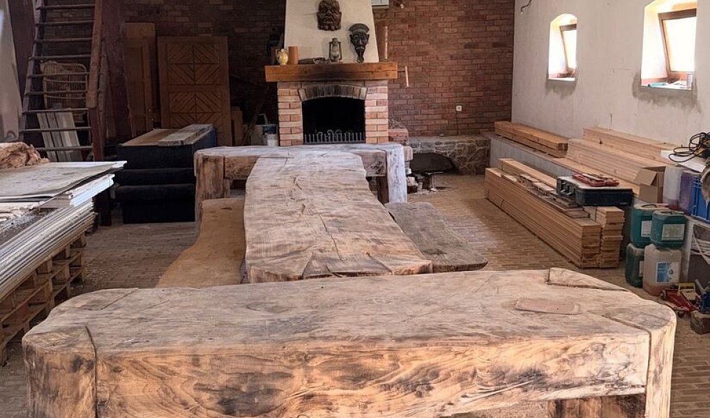 Prodej domu 725 m² s pozemkem 7 880 m², Bor – náhled fotky 17