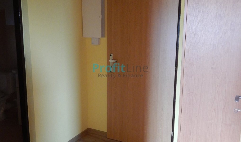 Pronájem bytu 1+kk 40 m², Zábřeh – náhled fotky 4