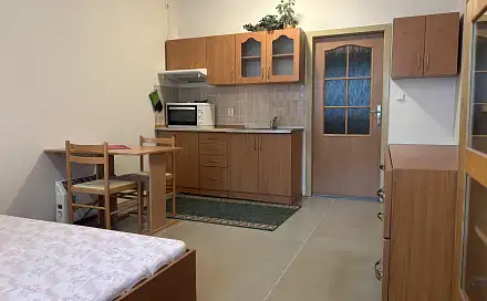 Pronájem bytu 1+kk 30 m², Javorová, Zlín