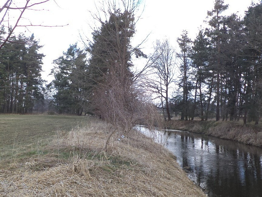 Dražba louky 552 m² — photo 4