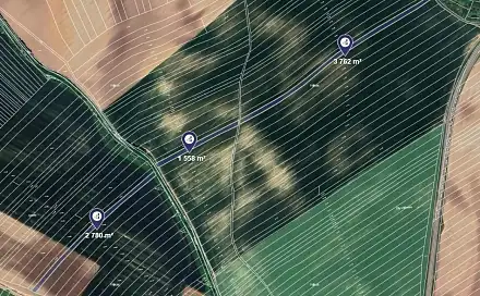 Prodej pole 8 100 m², Čejkovice, okres Hodonín