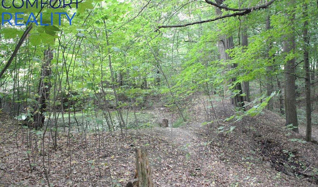 Prodej lesa 5 996 m², Havířov – náhled fotky 4