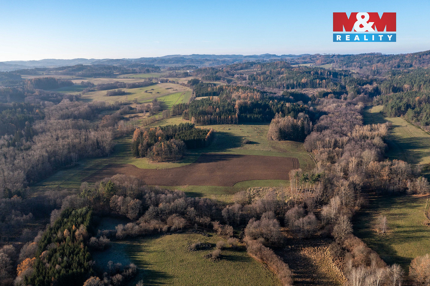 Prodej lesa 25 838 m² – fotografie 5