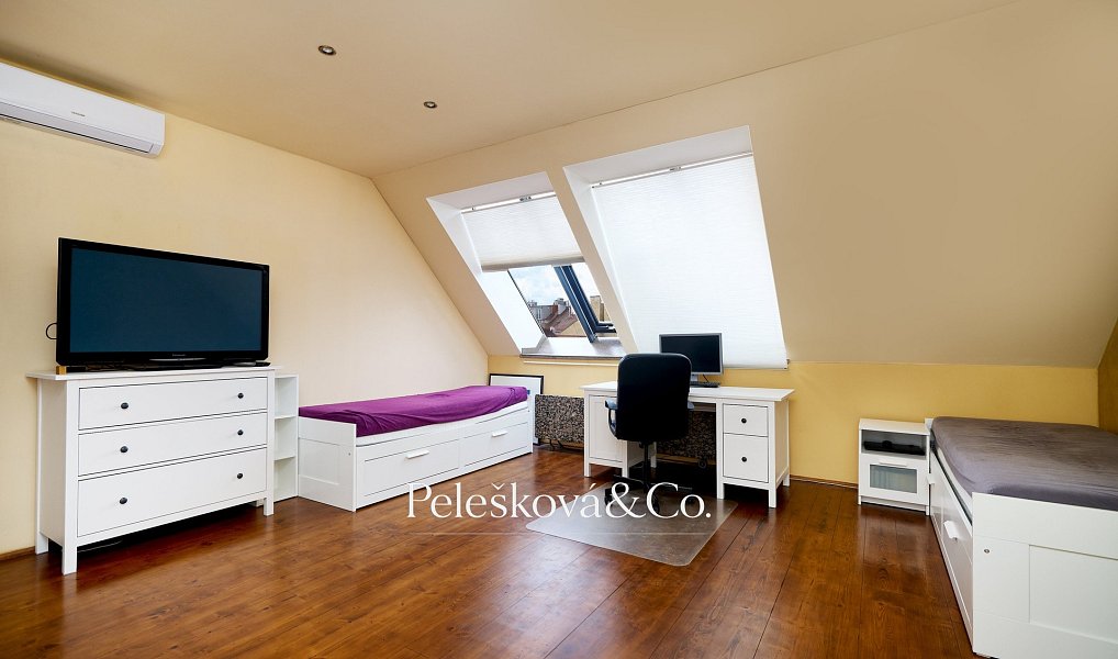 Pronájem bytu 4+kk 177 m², Praha – náhled fotky 23