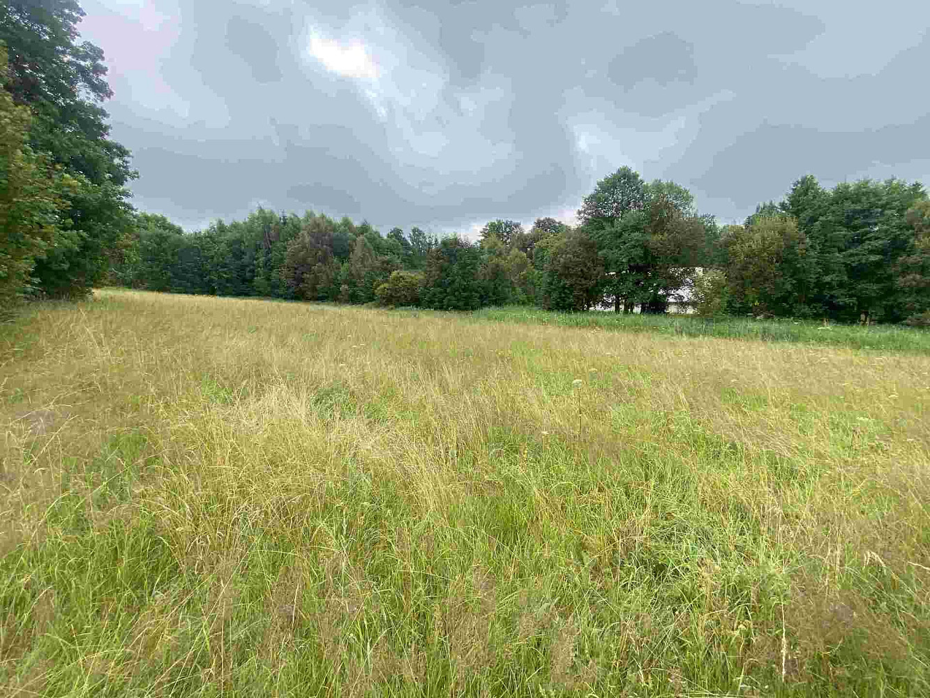 Prodej stavebního pozemku 1 500 m² – fotografie 5