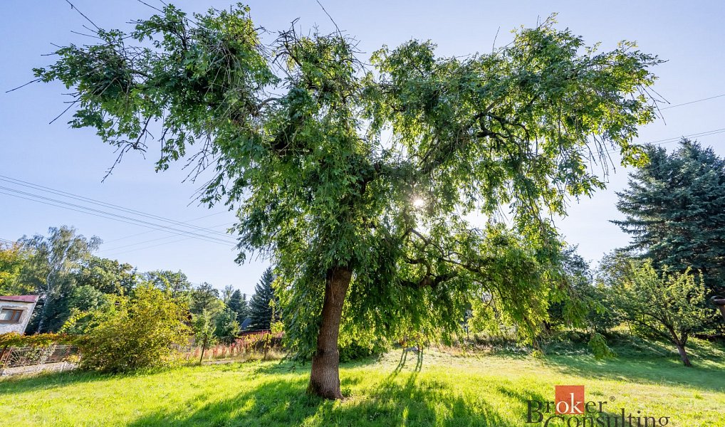 Prodej stavebního pozemku 2 130 m², Raspenava – náhled fotky 6