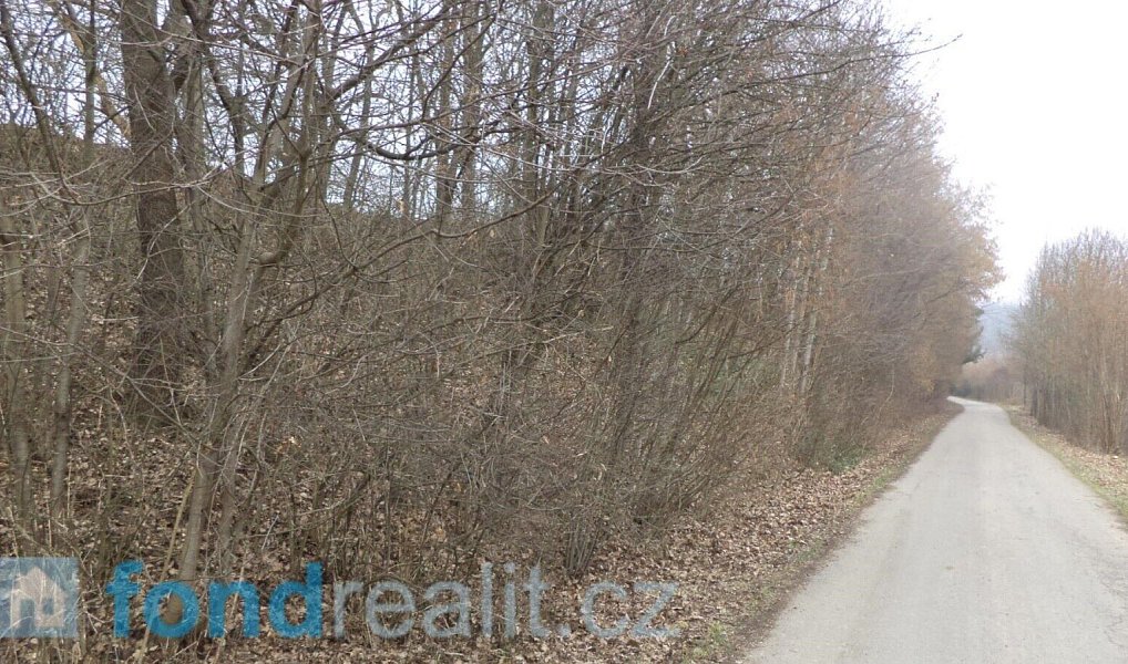 Prodej pole 41 964 m², Zvěstov – náhled fotky 3