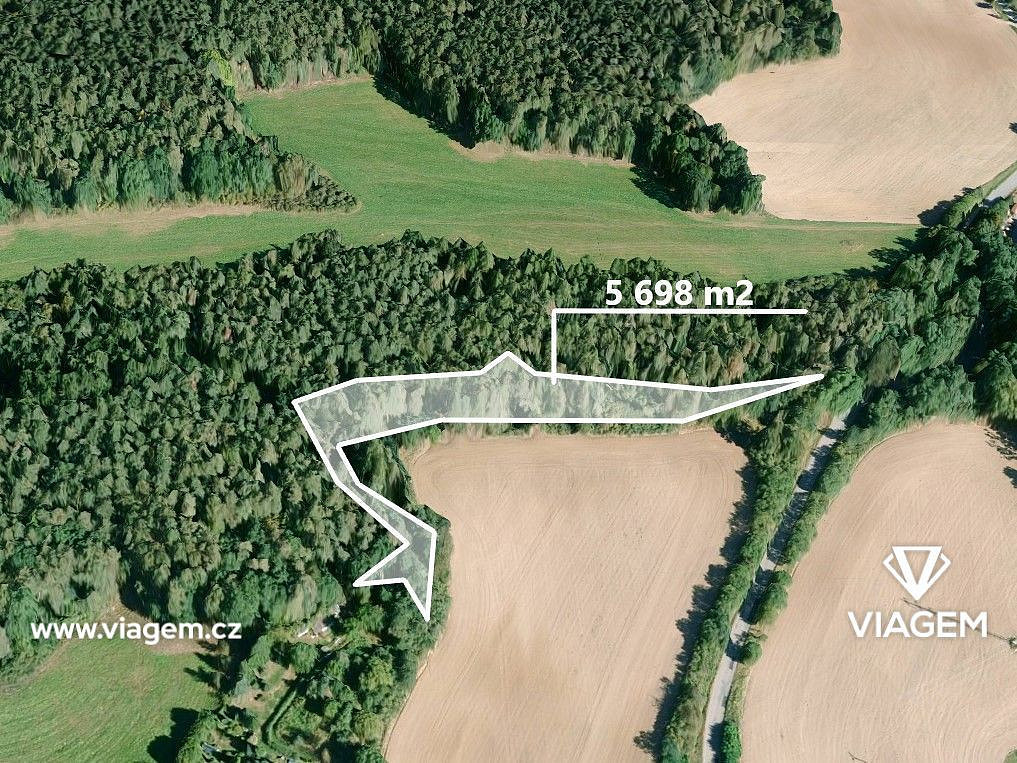 Prodej lesa 2 849 m²