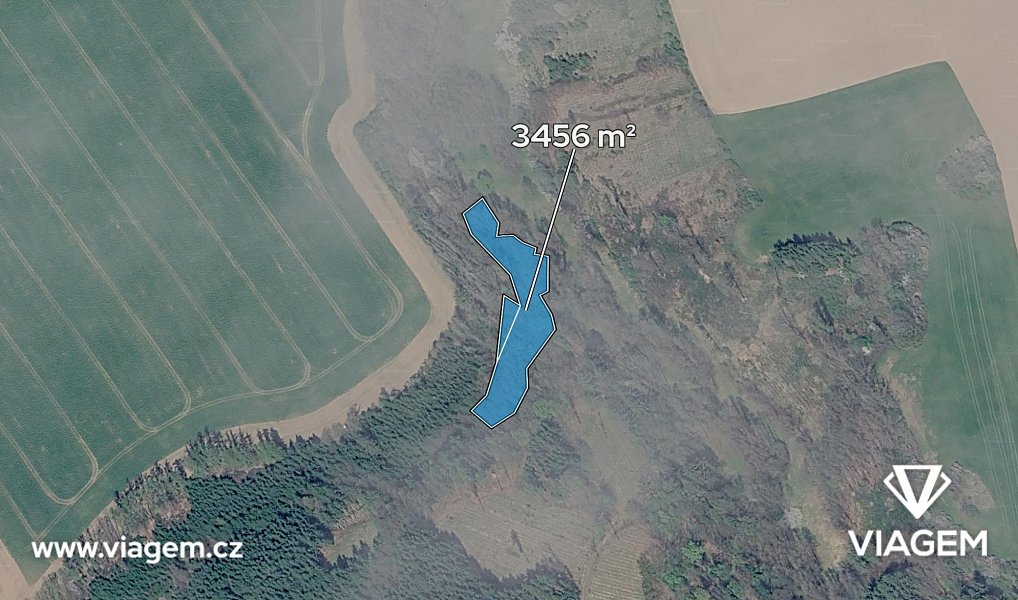 Prodej lesa 592 m², Vilémov – náhled fotky 2