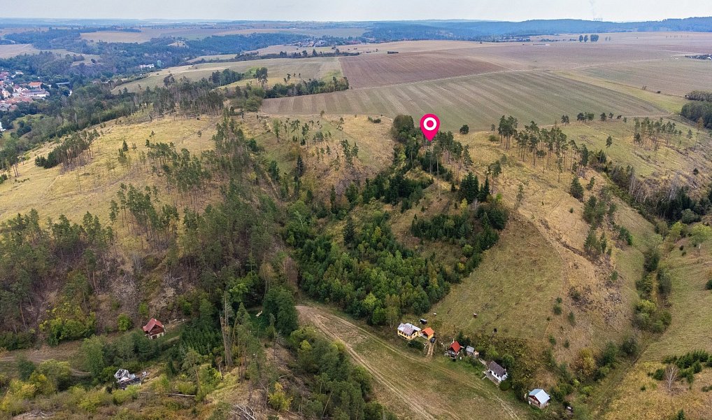 Prodej lesa 15 246 m², Vladislav – náhled fotky 7