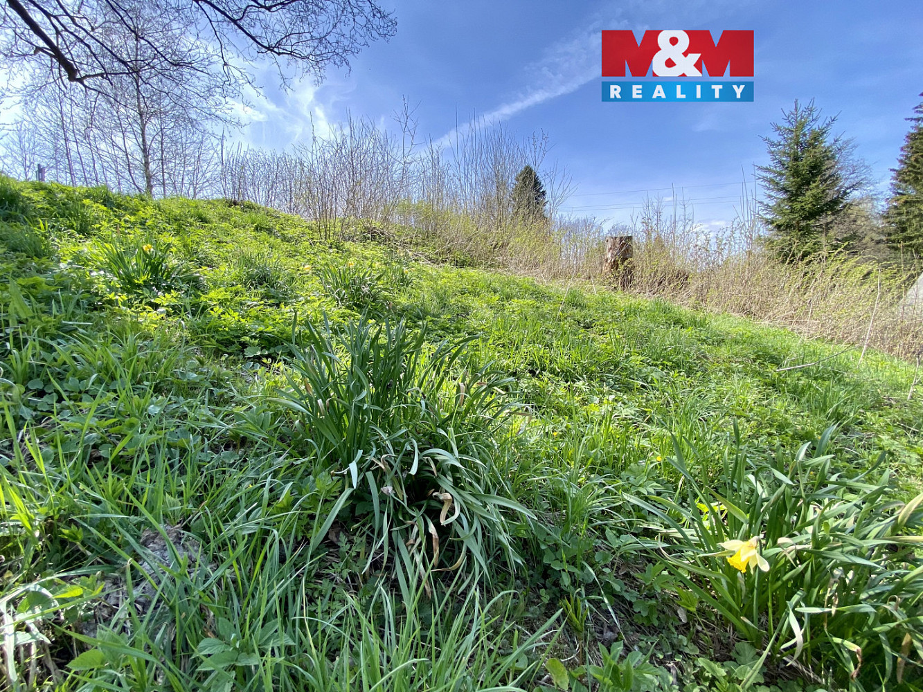 Prodej louky 1 153 m²