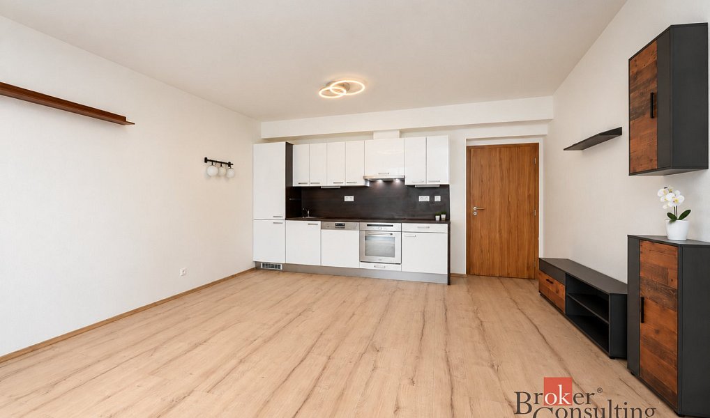 Pronájem bytu 2+kk 59 m², Plzeň – náhled fotky 14
