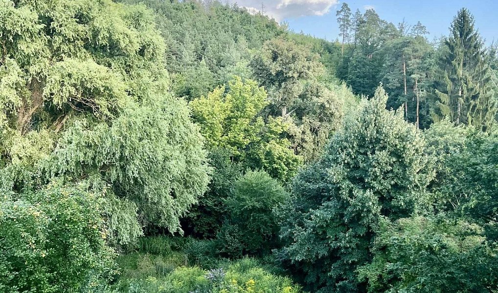 Prodej domu 650 m² s pozemkem 2 052 m², Brno – náhled fotky 3